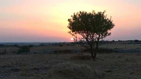 Cassano, nella foresta Mercadante passeggiata e escursione al chiaro di luna